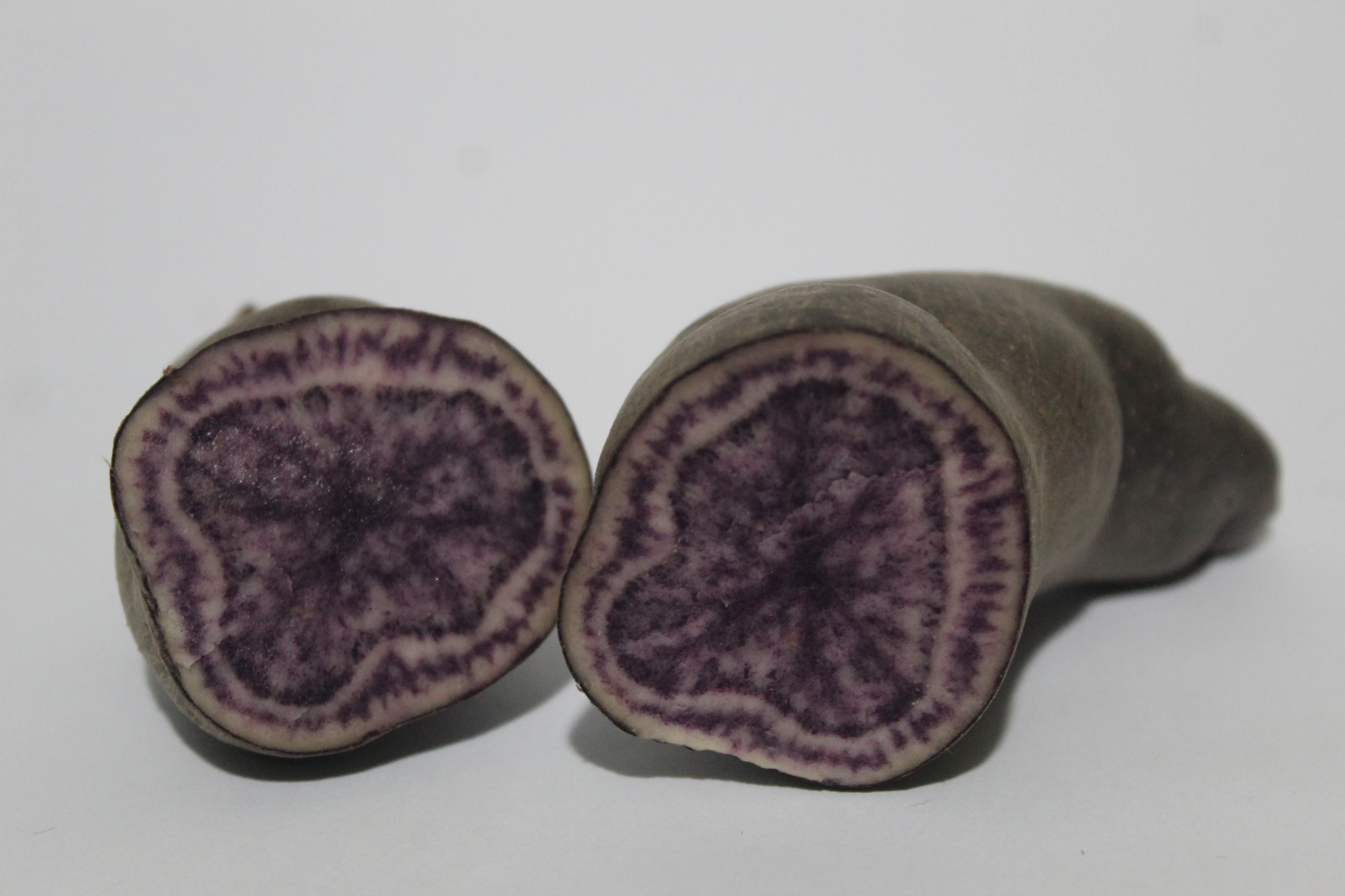 Papa nativa oscura con pulpa morada en estudio