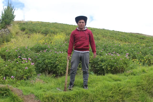 Agricultor con herramienta en campo andino en flor