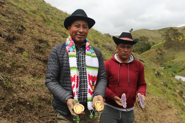 Dos agricultores andinos sosteniendo papas nativas