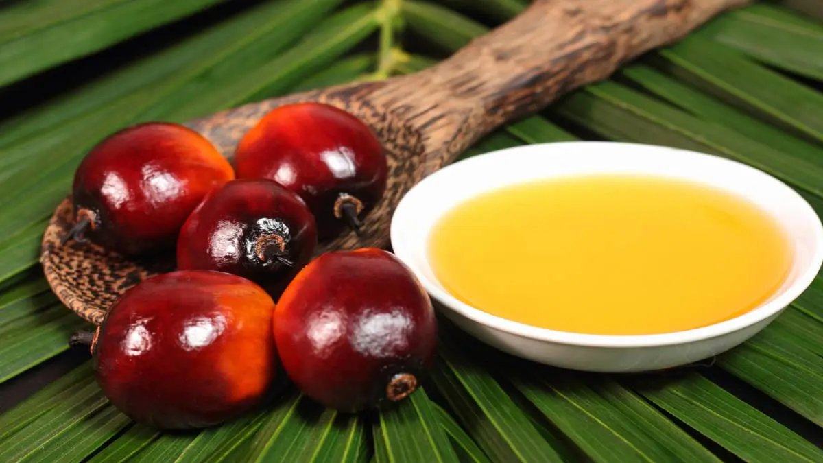 Aceite de oleína de palma