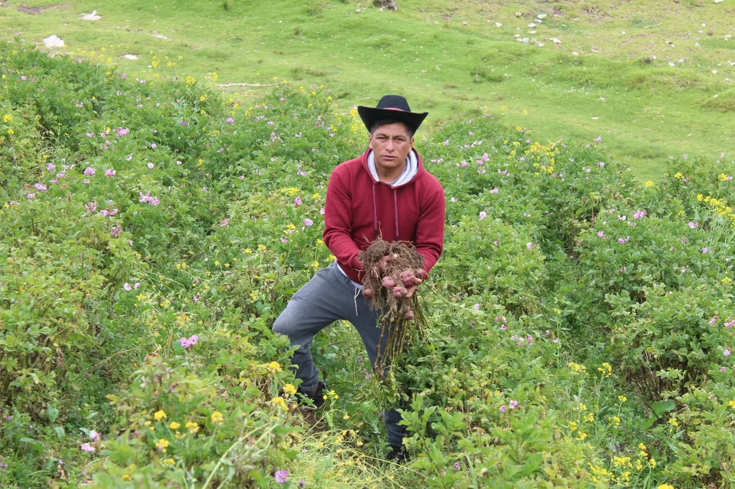 Agricultor andino joven en campos de flores a 3,600 metros de altura